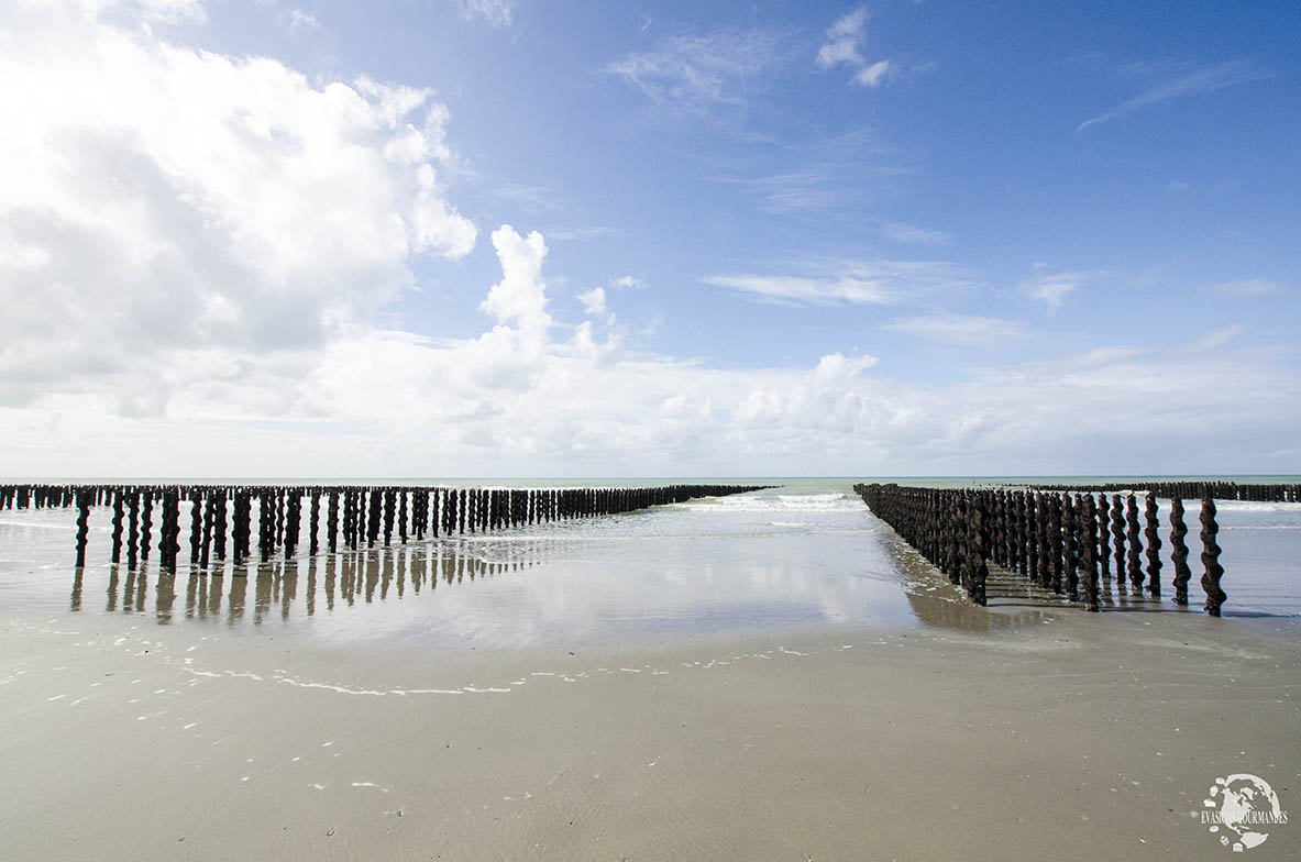 Plage de Quend