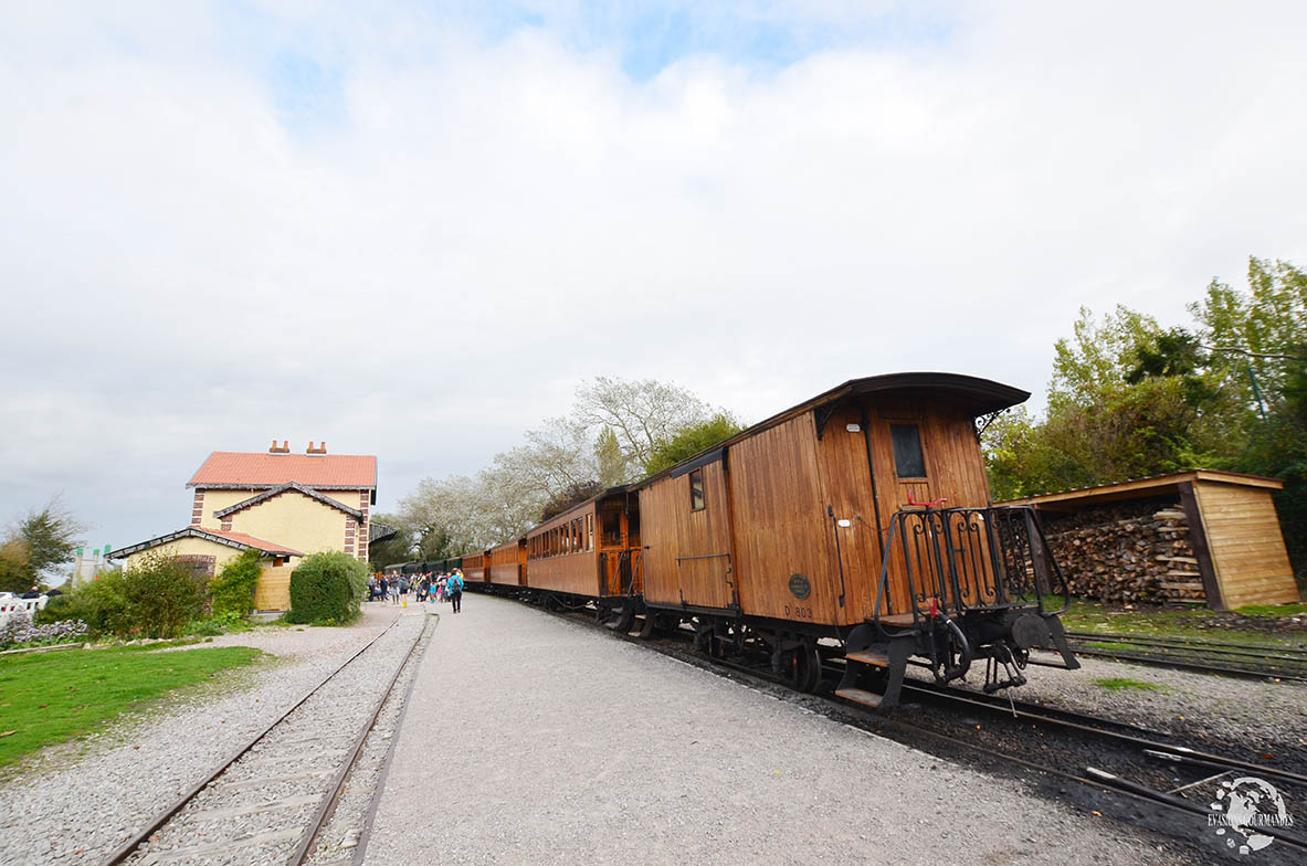 Train à vapeur Baie de Somme