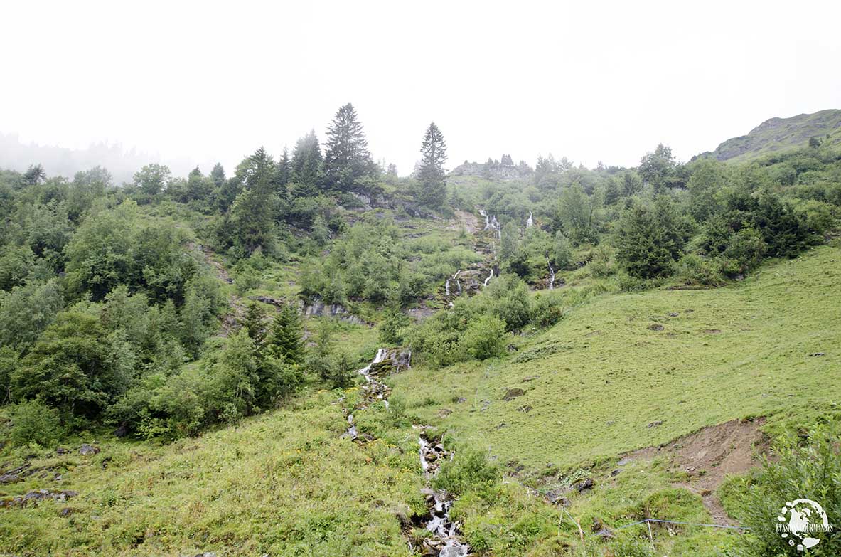 Balade Gourmande de Morgins