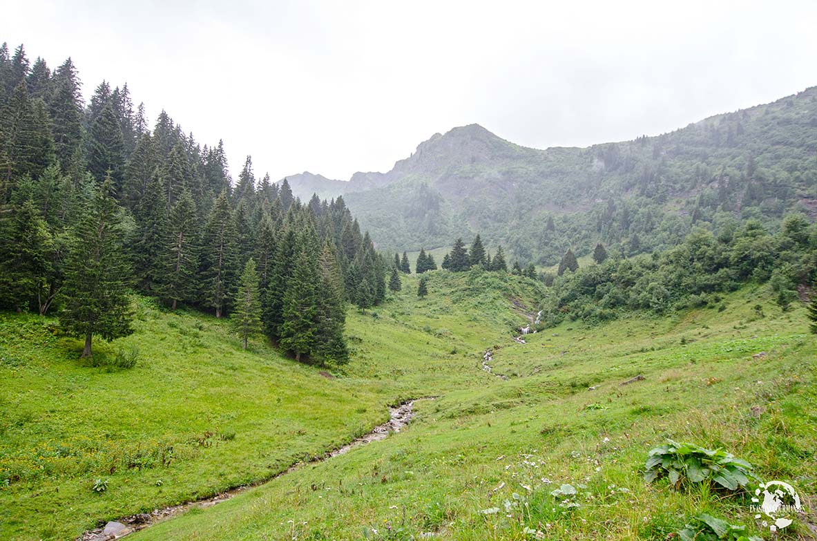 Balade Gourmande de Morgins