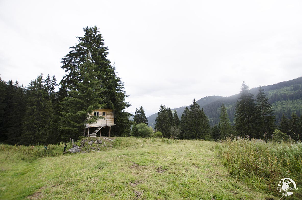 Balade Gourmande de Morgins