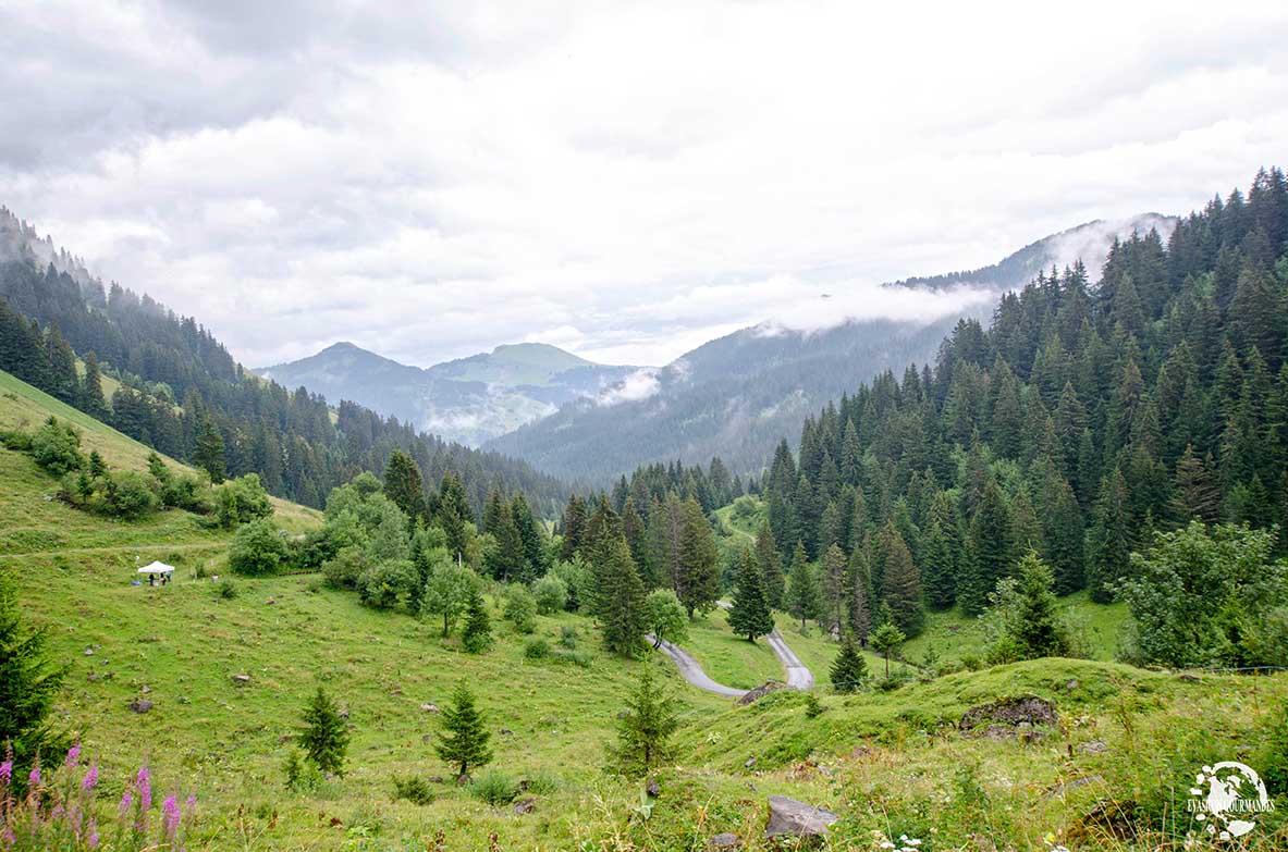 Balade Gourmande de Morgins