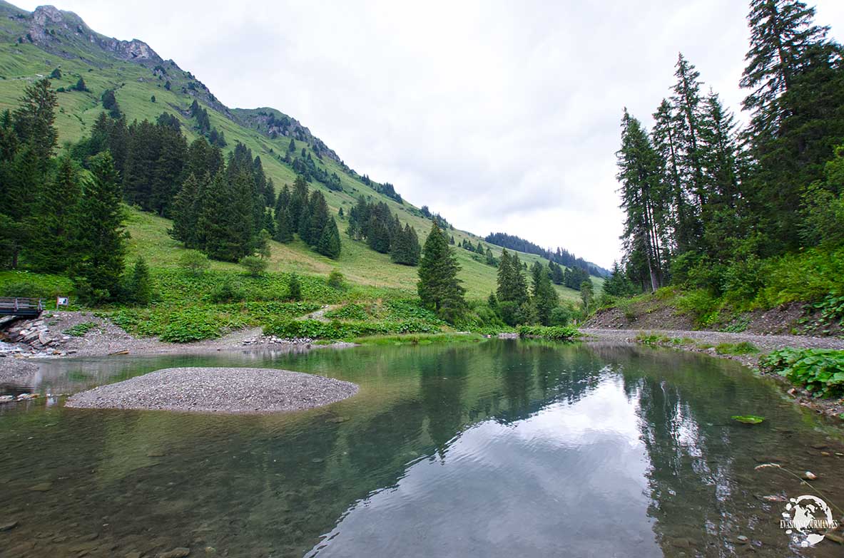 Vallon de They Morgins