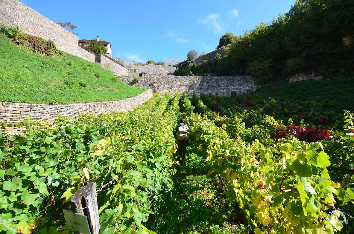 Château-Chalon