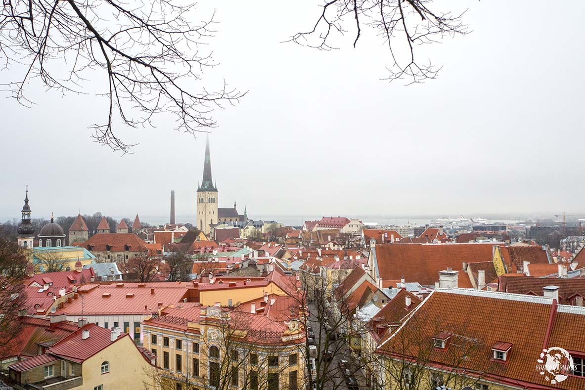 Tallinn