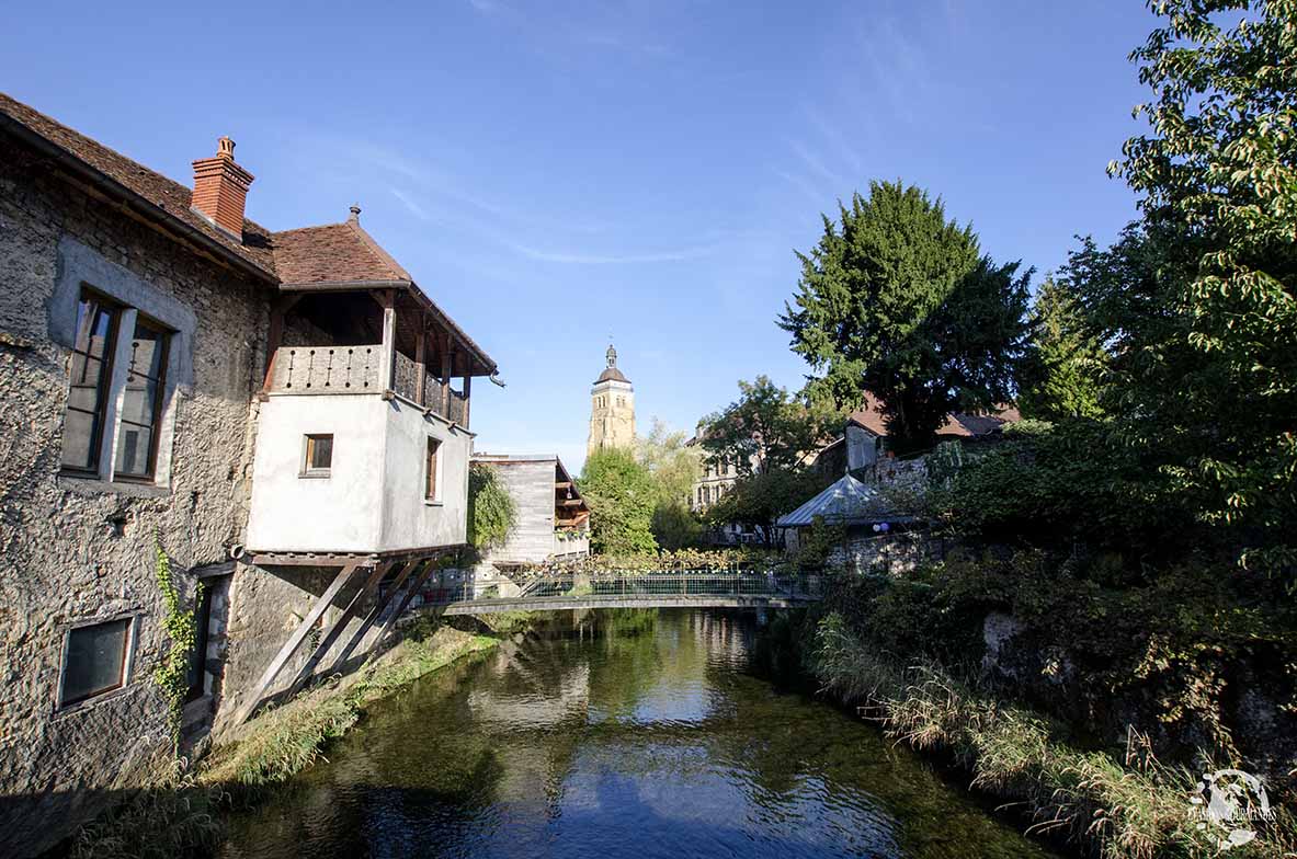 Arbois