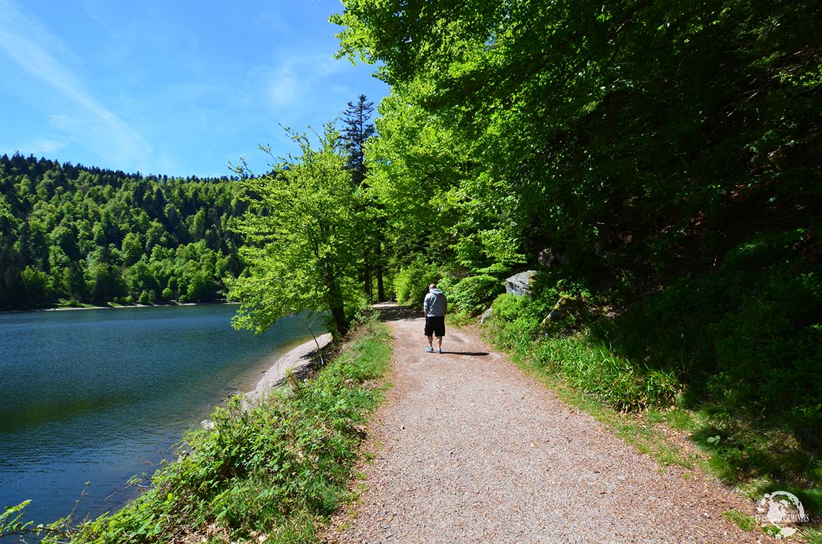 Lac des Corbeaux La Bresse