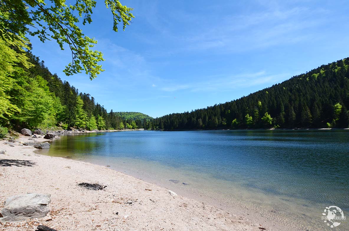 Lac des Corbeaux La Bresse