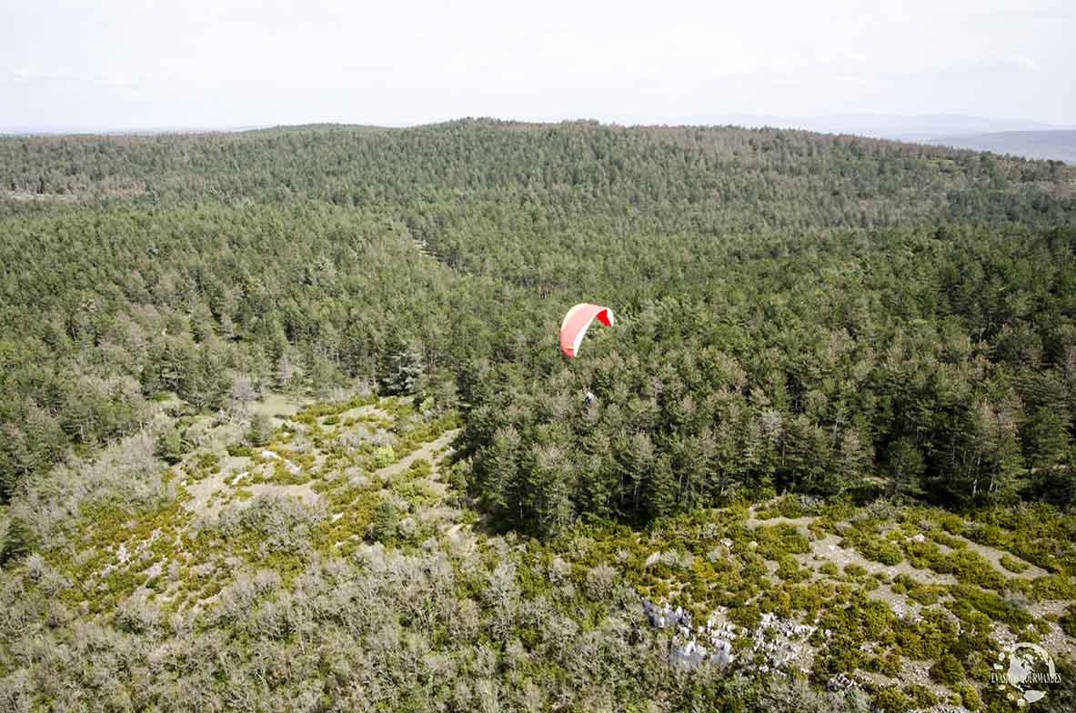 Parapente Millau