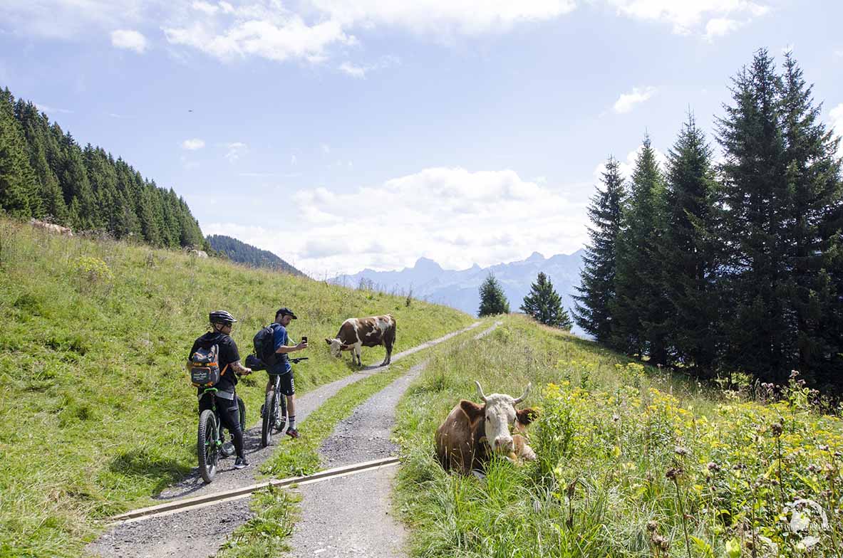 Morgins en été