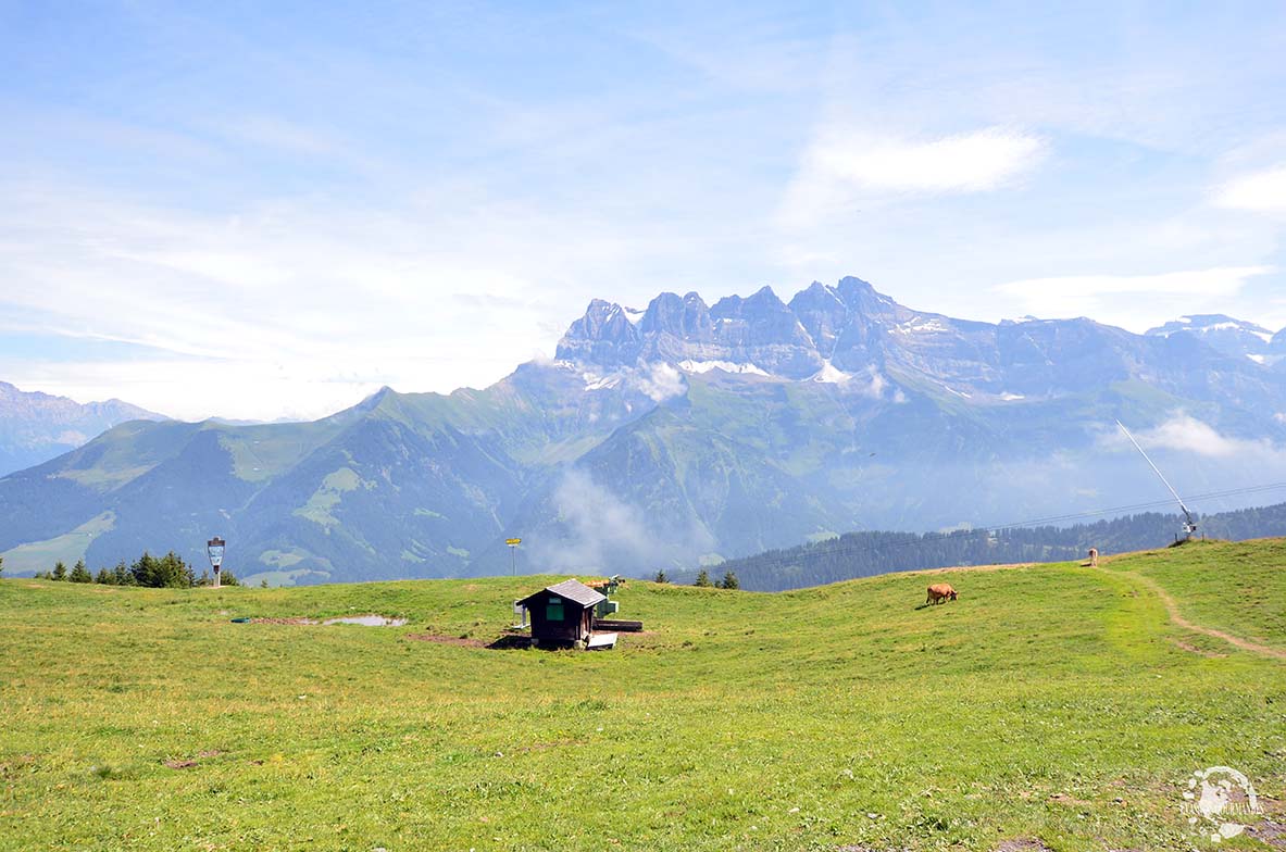 Morgins en été