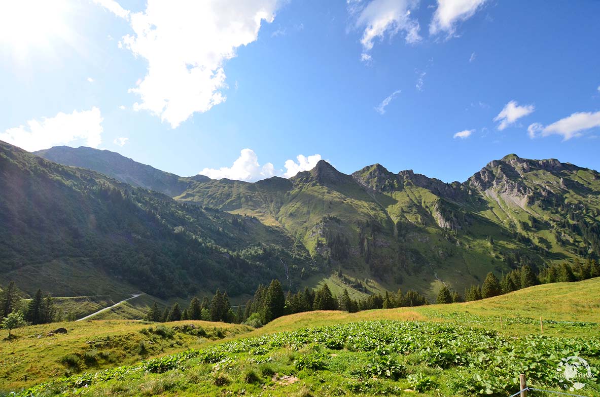 Morgins en été