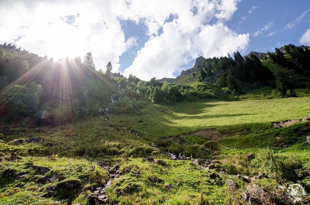 Morgins en été