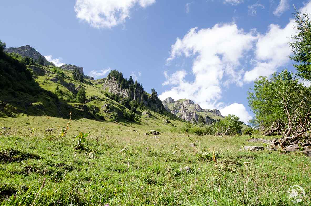 Morgins en été