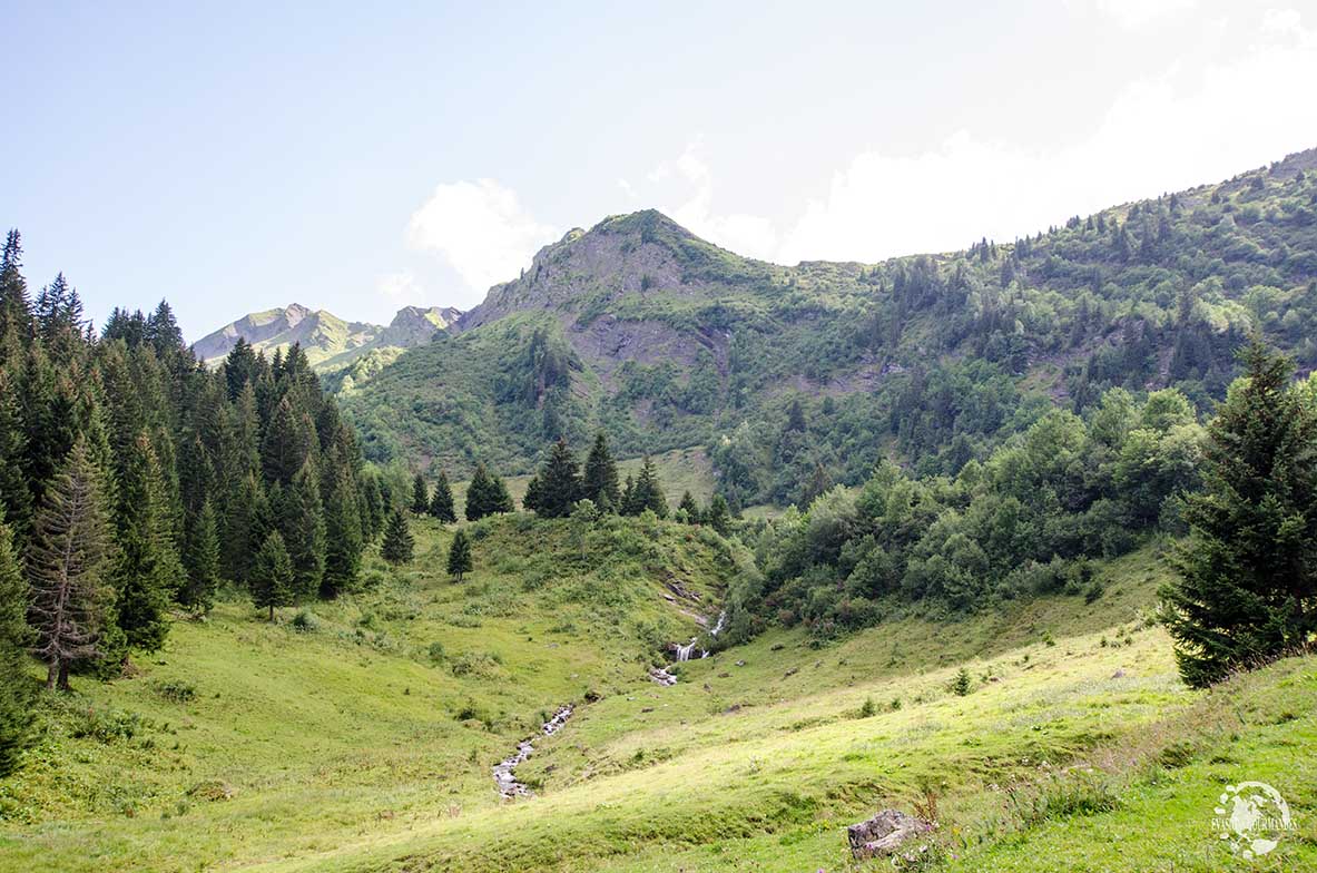 Morgins en été