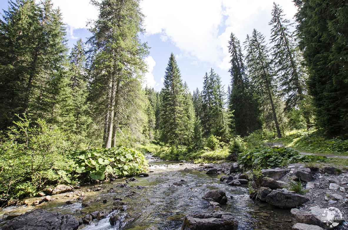 Morgins en été