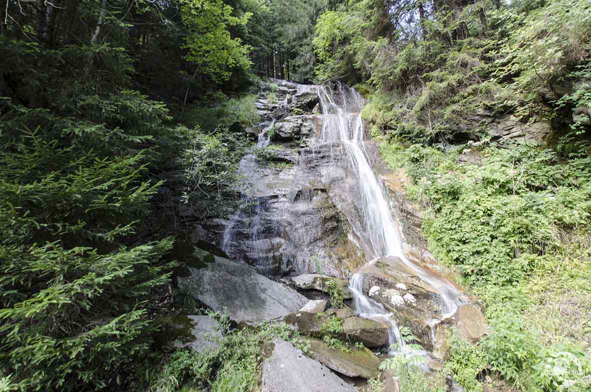 Morgins en été