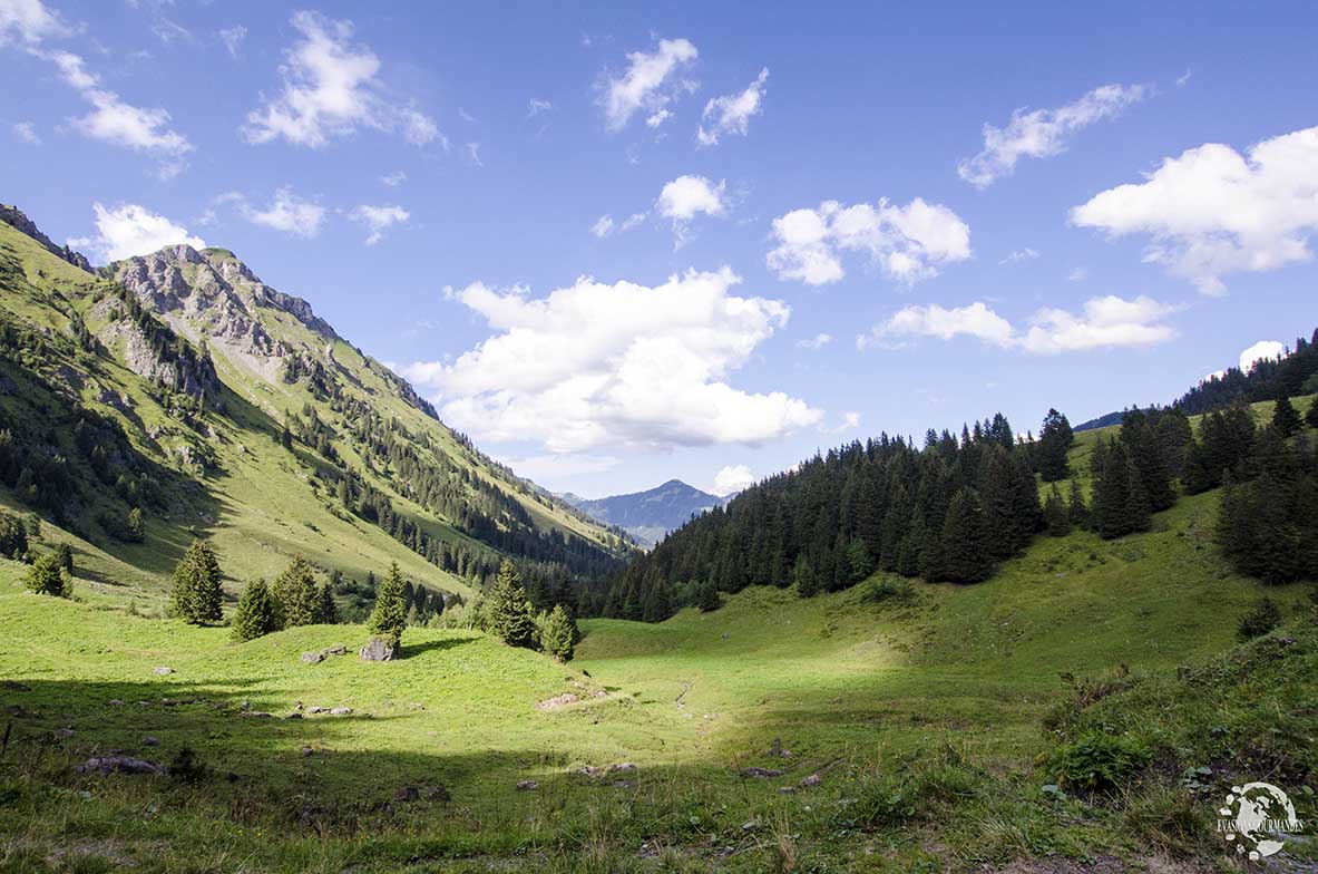 ebike Morgins