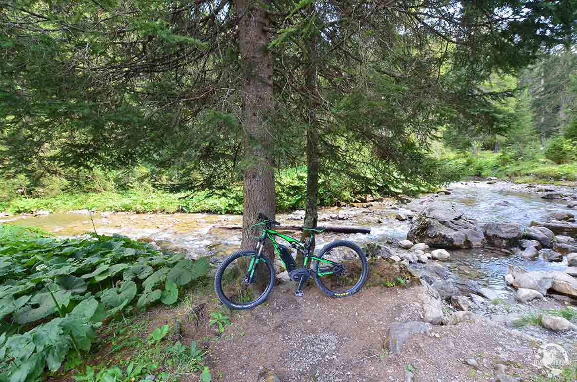 ebike Morgins