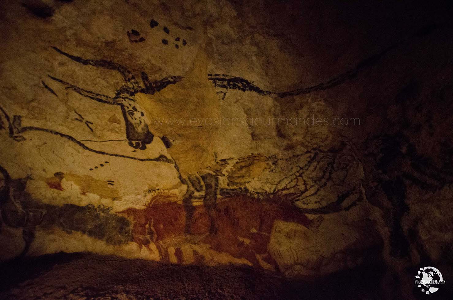 Grotte de Lascaux II