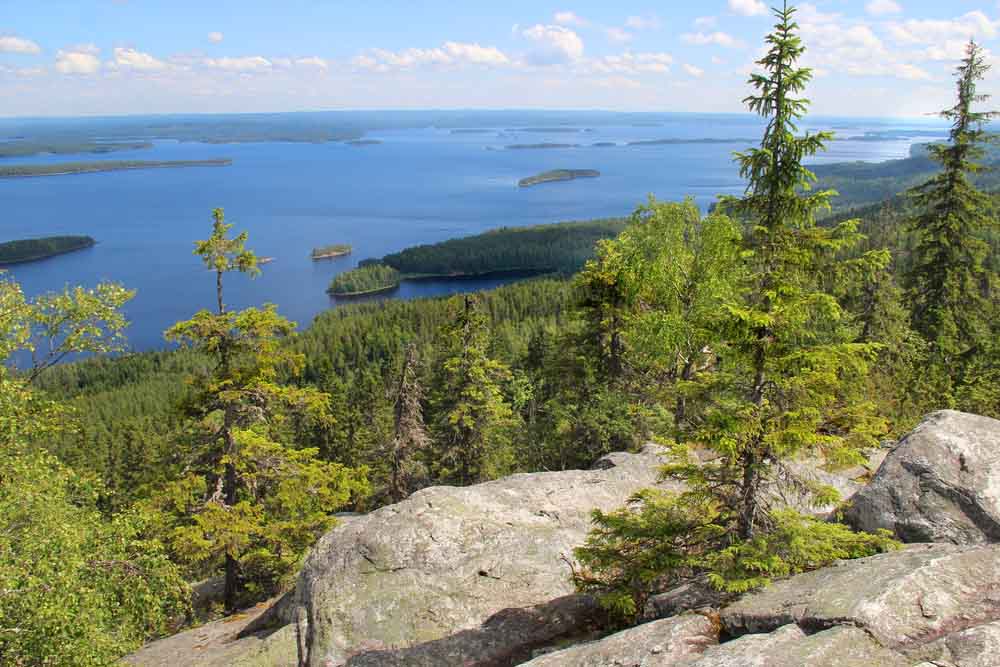 Koli National Park Carélie