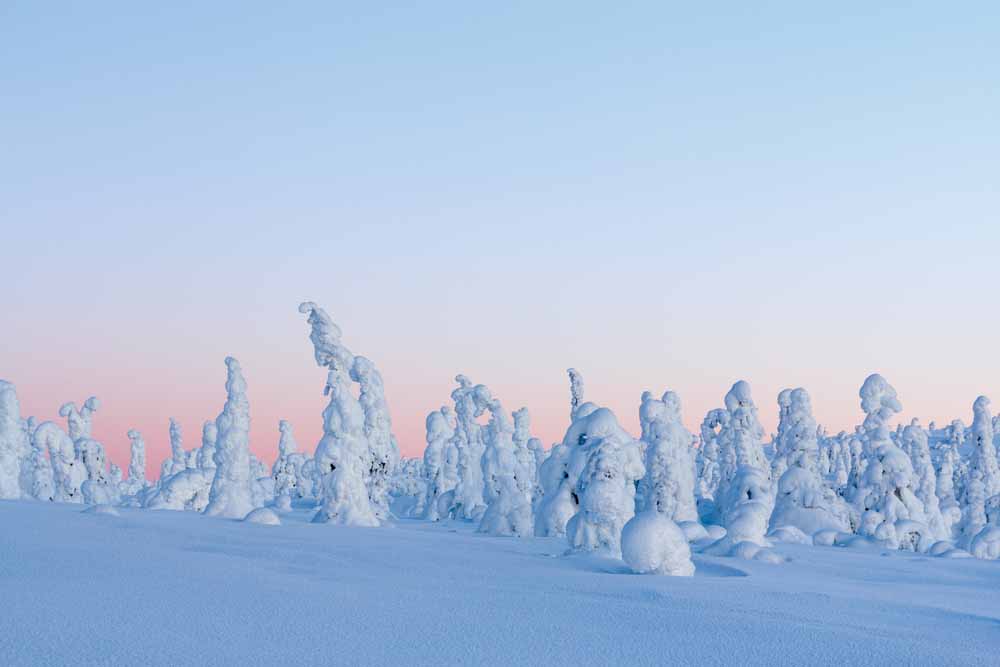 Riisitunturi National Park