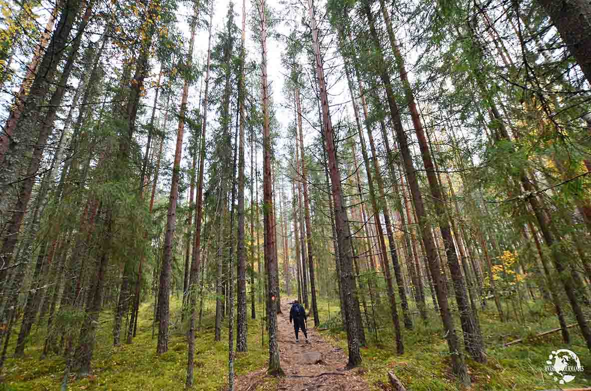 voyager en Finlande