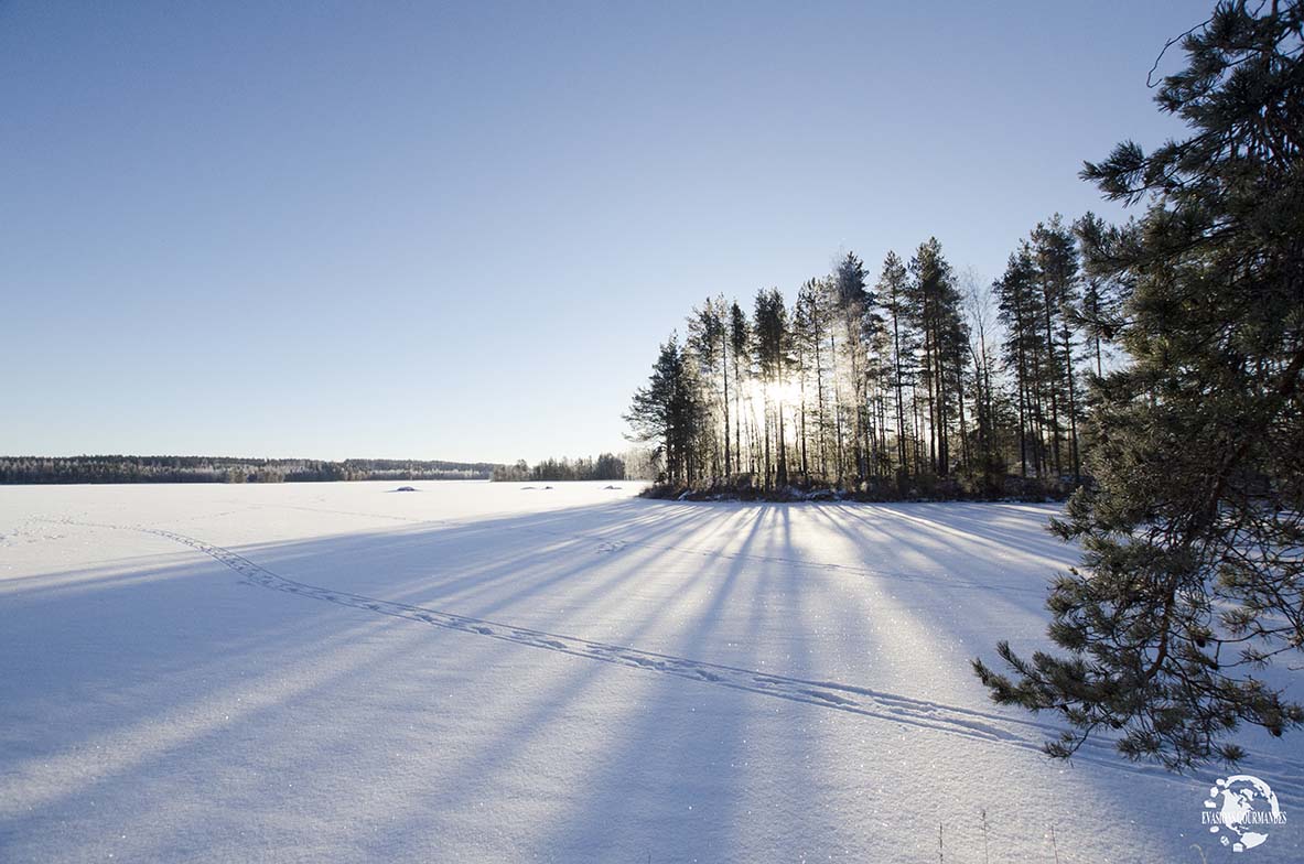 Lever de soleil à Jaala