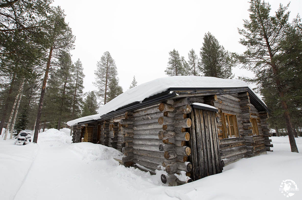 Chalet en rondin de bois