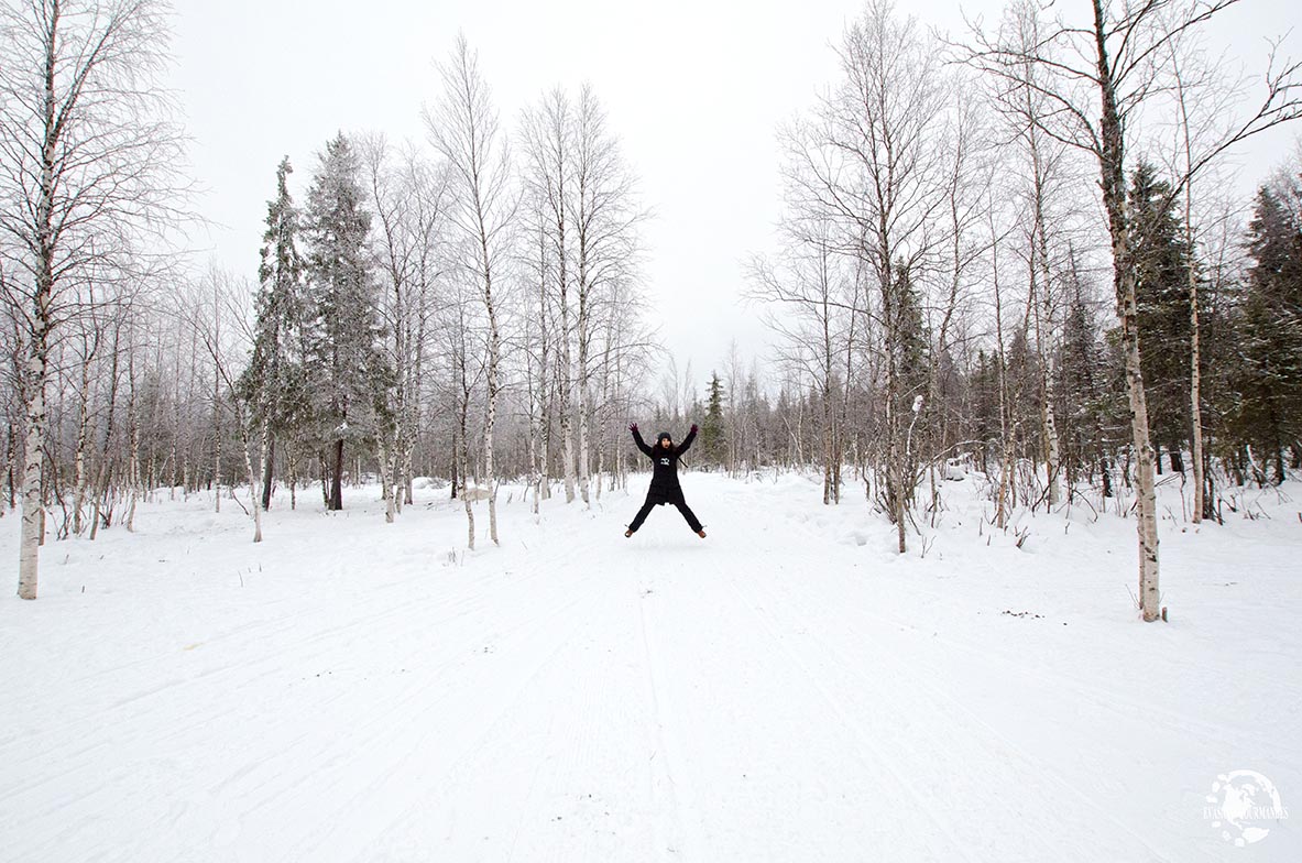 Finlande en hiver