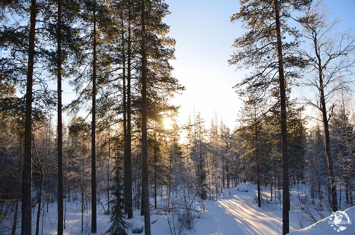 Laponie finlandaise