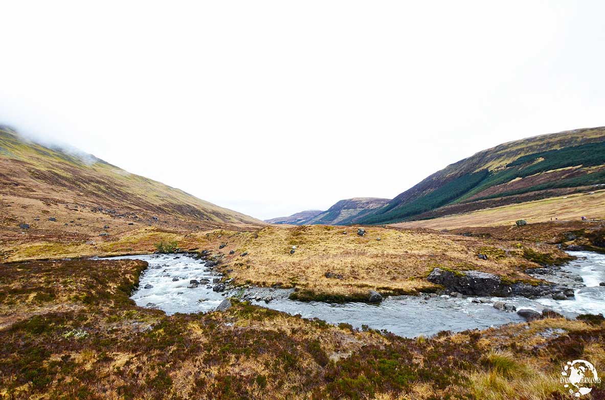 Fairy pools