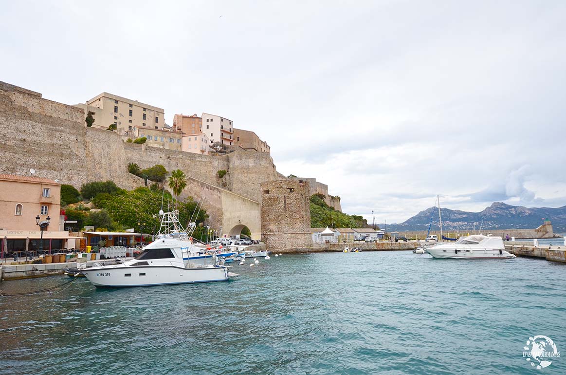 Citadelle de Calvi