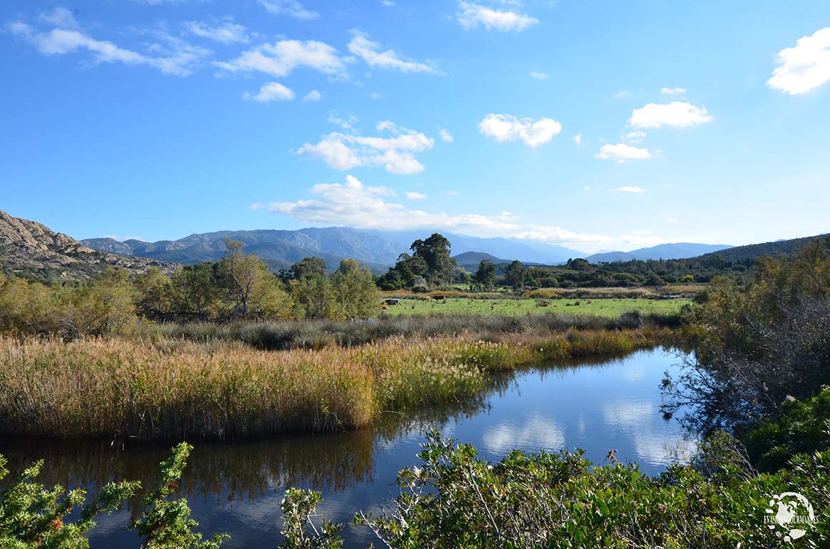 Paysage Corse