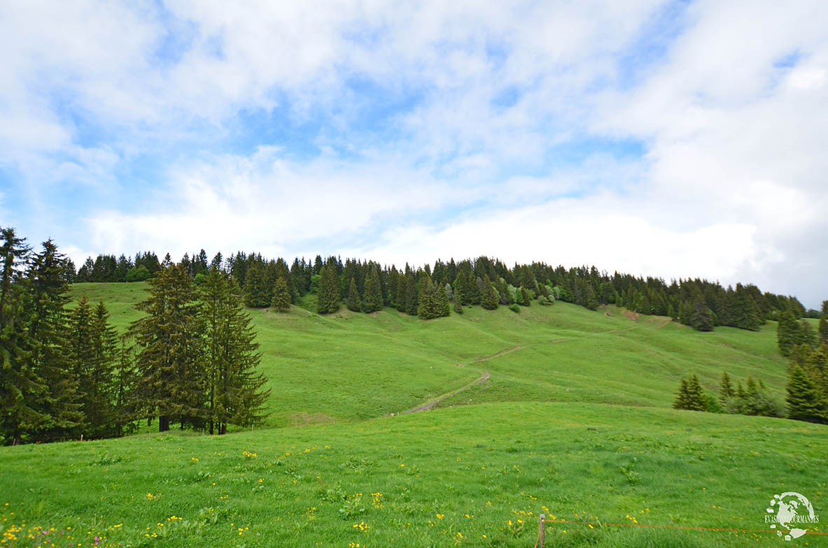 Alpage des Corbassières