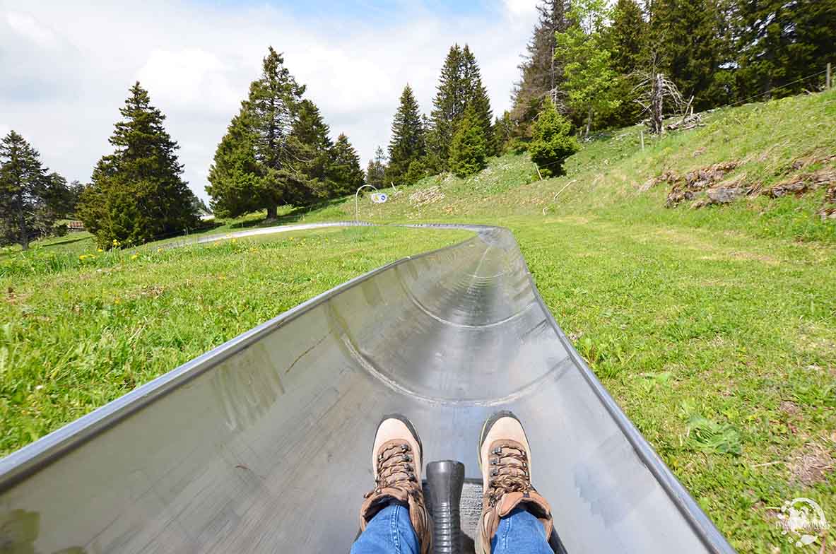 Luge d'été au Semnoz