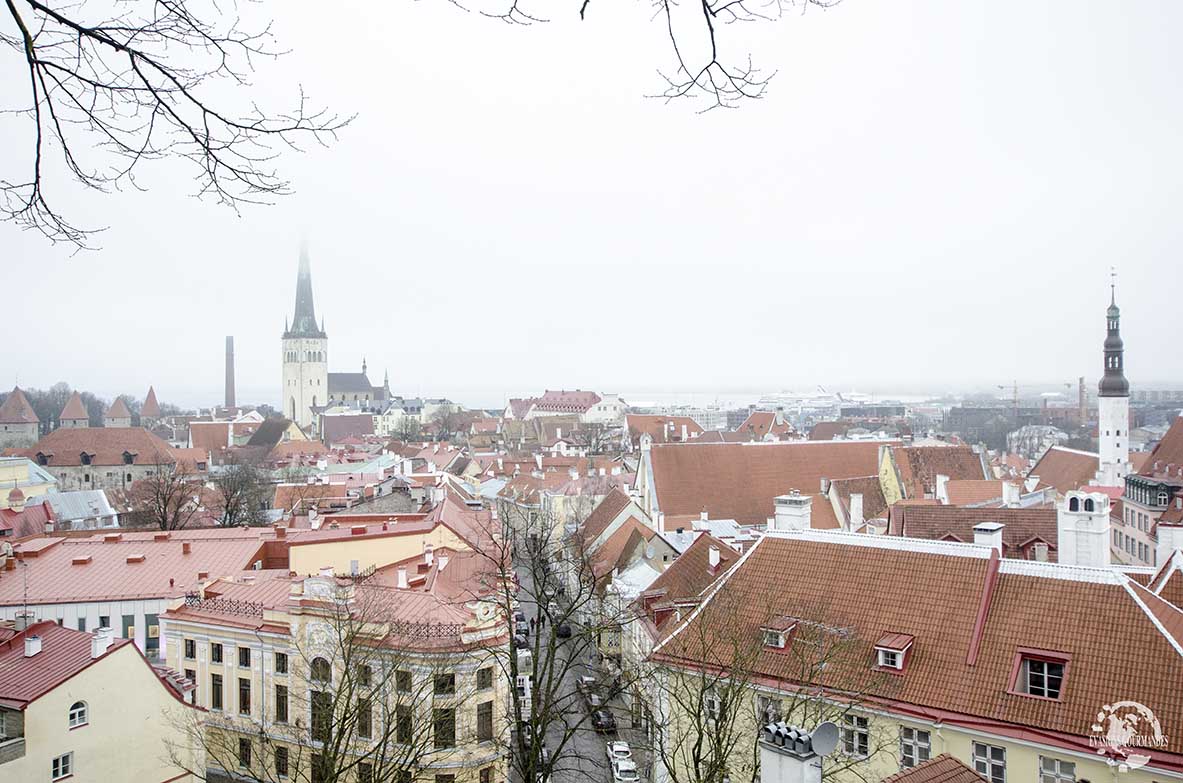 Rejoindre Tallinn en Estonie depuis Helsinki