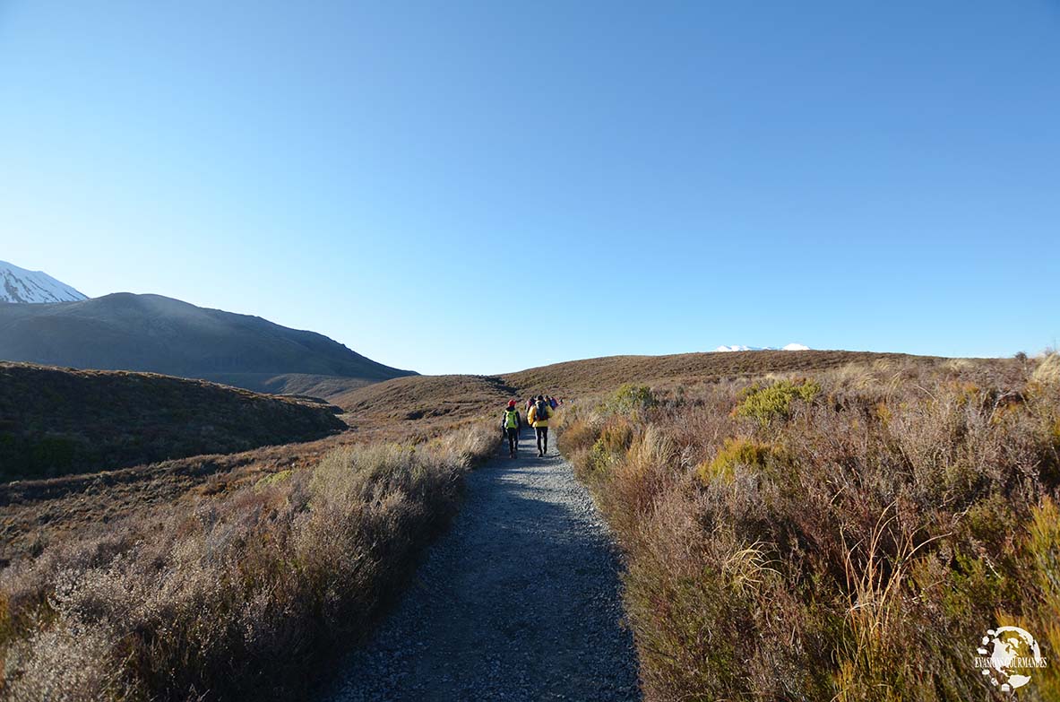 Tongariro Alpine Crossing