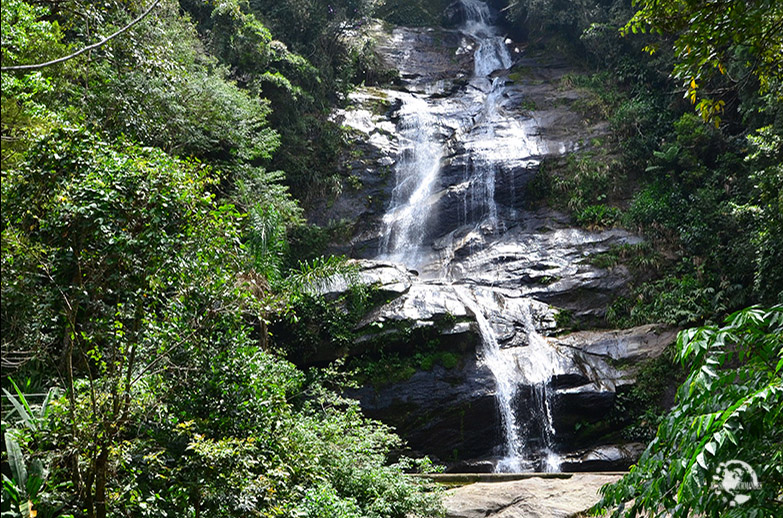 Forêt Tijuca