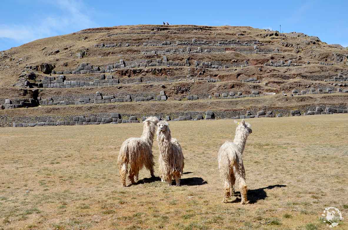 Sacsayhuaman