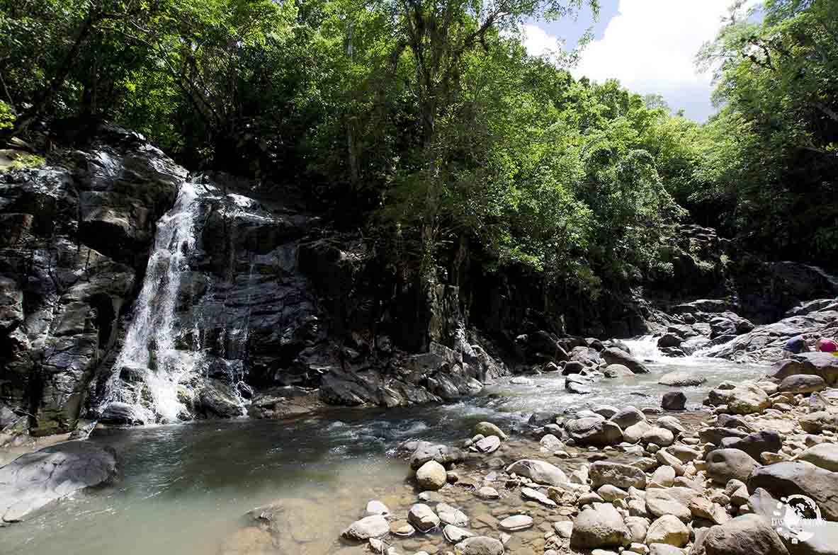 Saut de l'Acomat