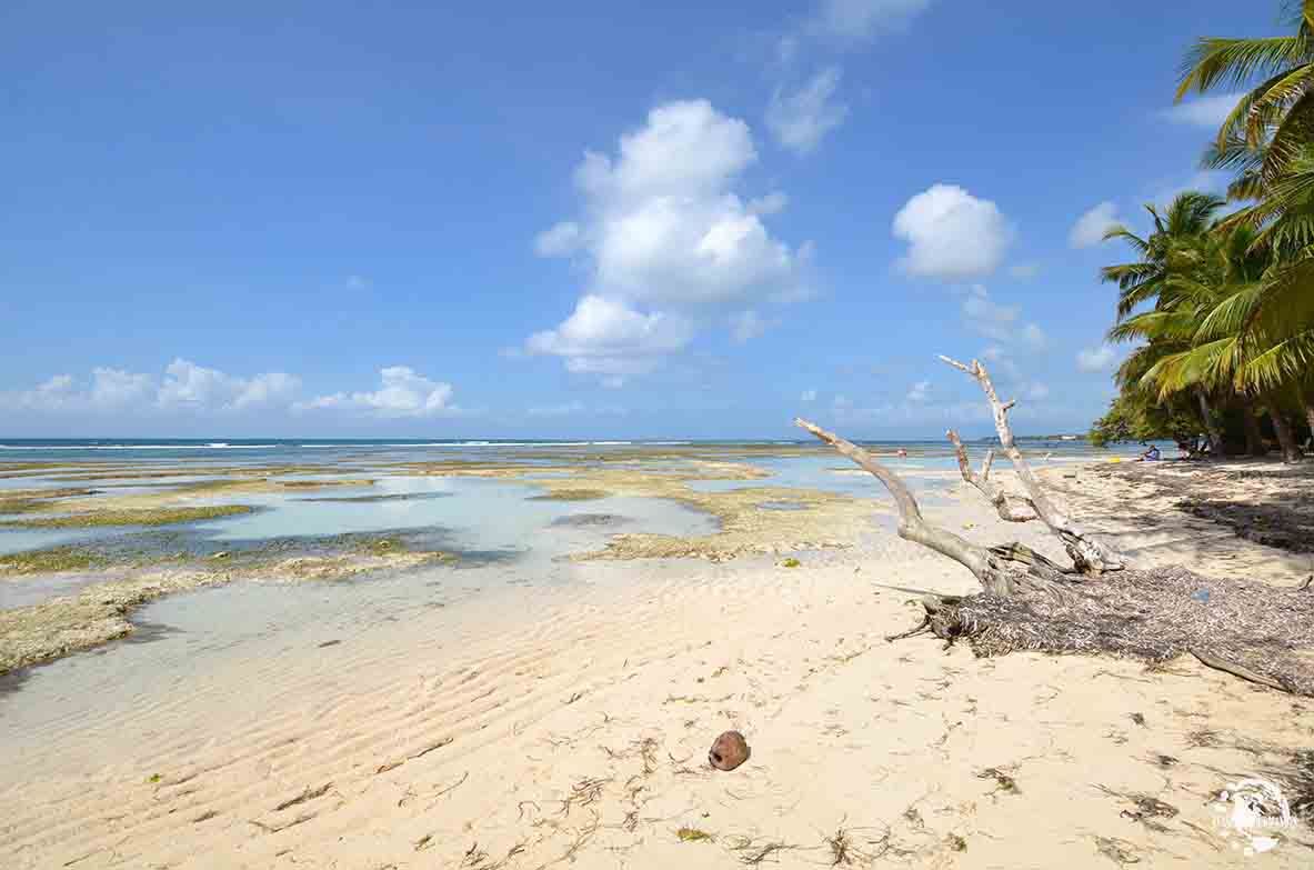 Plage de Bois Jolan