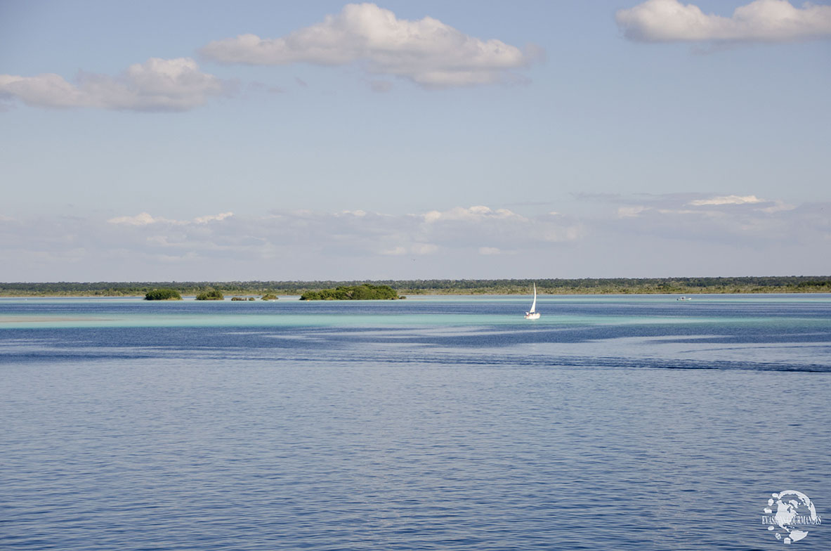 Bacalar