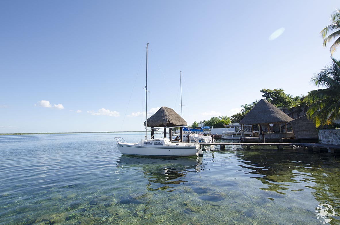 Bacalar