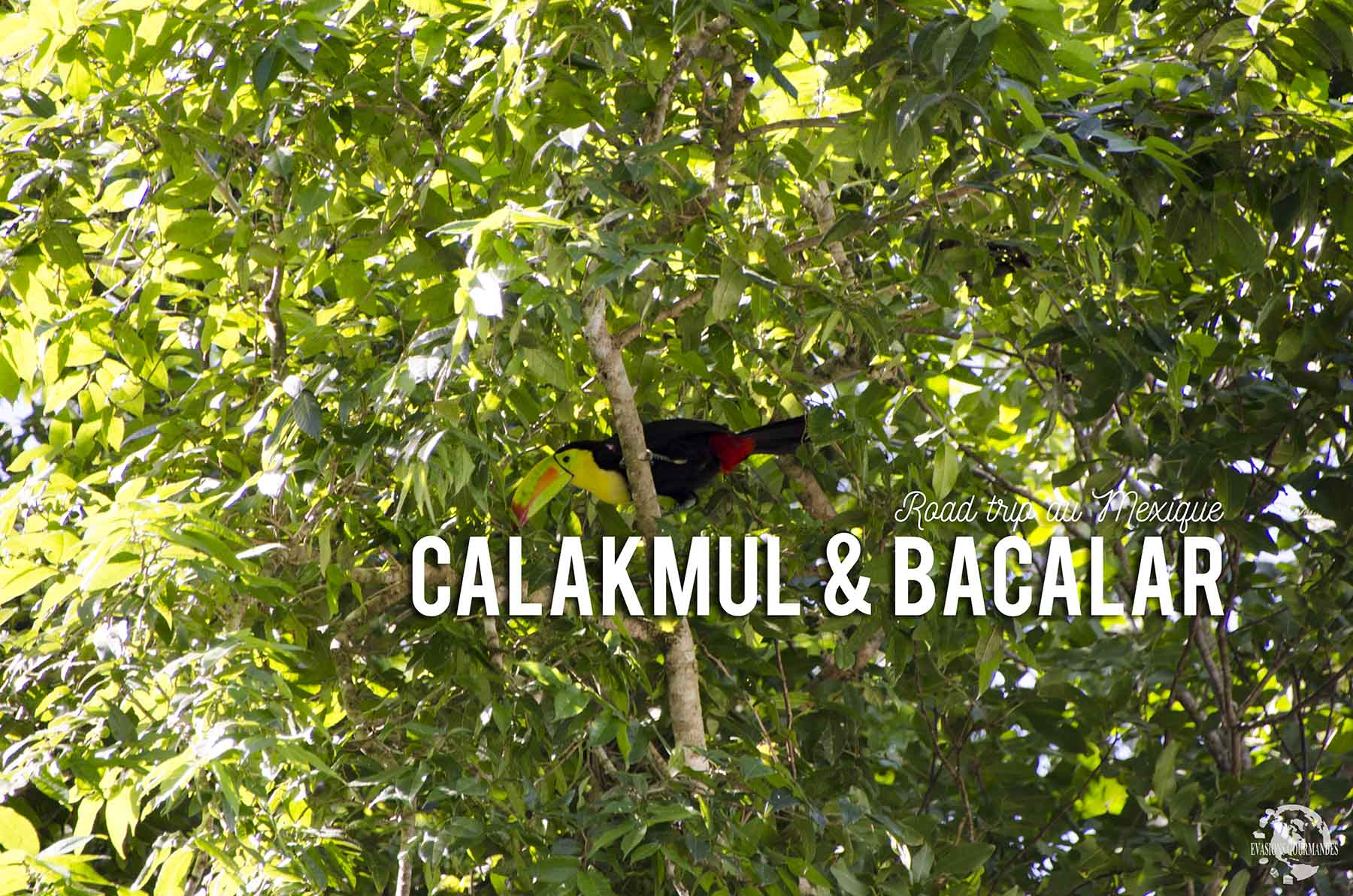 Calakmul