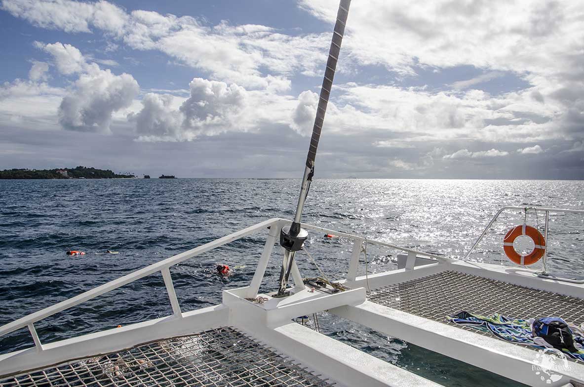 Catamaran Samana