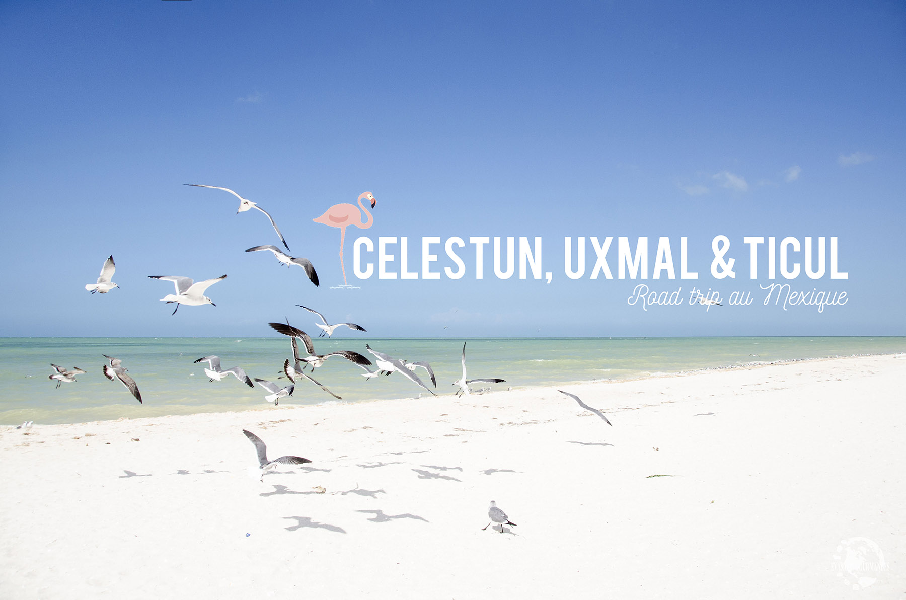 Celestun Uxmal