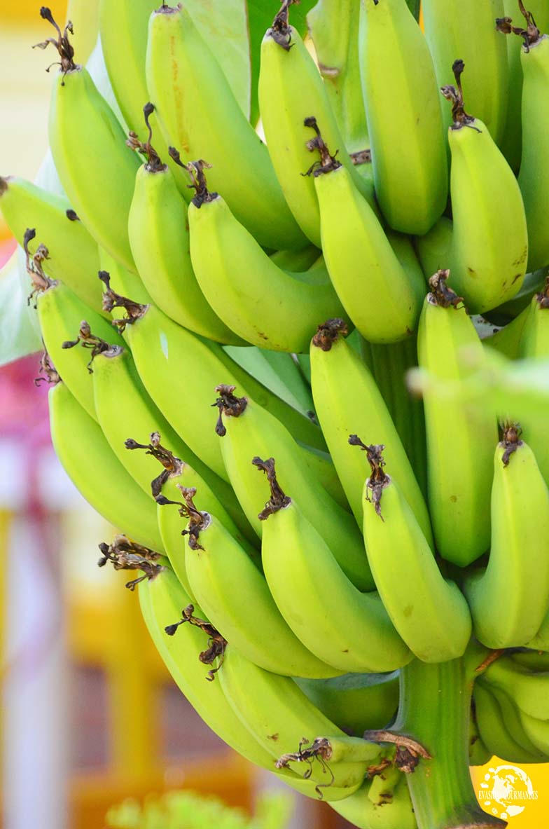 bananes Martinique
