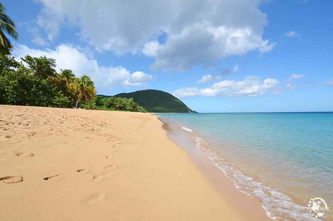 Plage de Grande Anse à Deshaies