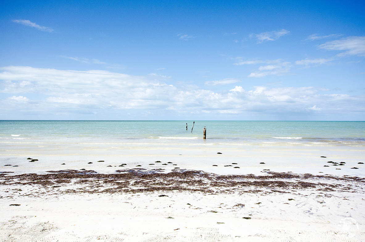 Holbox